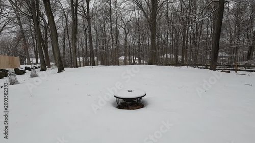 trees and backyard covered with snow after the snow storm in February