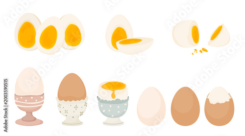 Collection of boiled eggs in different forms: soft boiled in egg cups, hard boiled, sliced halves, and broken shells. Perfect for breakfast menus, recipe illustrations, healthy eating concepts