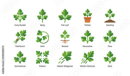 Parsley icon variations showing leaf styles on white background