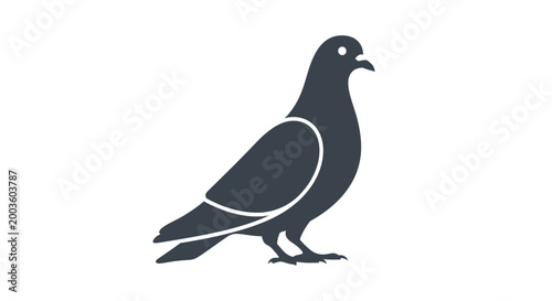 Dark gray pigeon standing profile view.