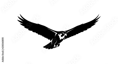Black silhouette of flying eagle bird 4.