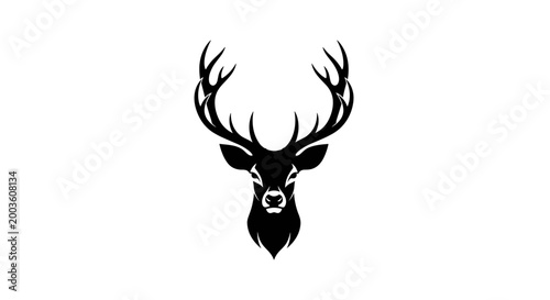 Deer Head with Large Antlers Closeup.