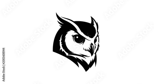 Detailed illustration of an owls head.