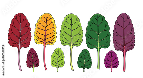 Colorful Leaves in a Row Formation.