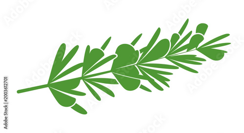 Green Rosemary Sprig Silhouette - Isolated on White Background