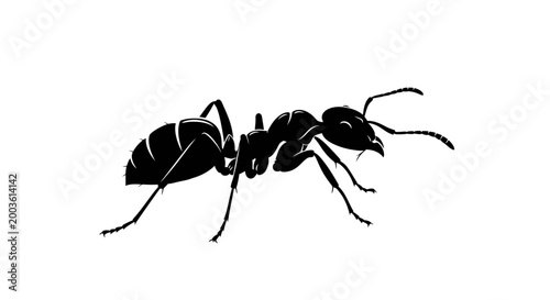 Black silhouette of an ant.
