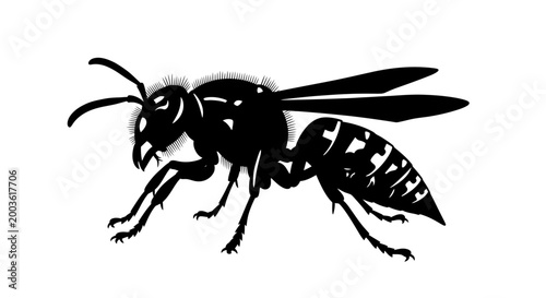 Black silhouette of a wasp insect.