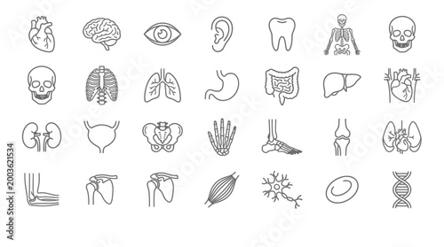 Vector Icons Set of human anatomy icons in hand drawn line style.