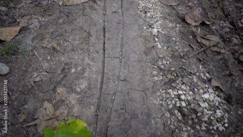 Close-Up of Muddy Tire Track on Rural Dirt Road