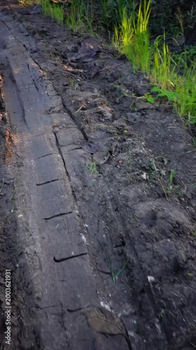 Mud Tire Tracks on Dirt Road with Grass Texture