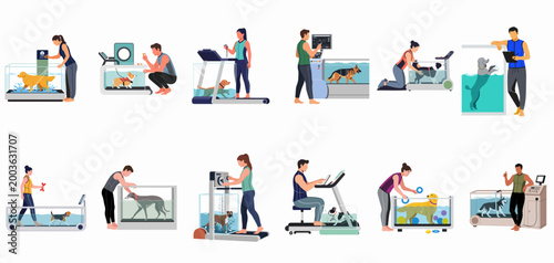 Vector Illustration Set of Various Dog Breeds Undergoing Hydrotherapy and Rehabilitation on Underwater Treadmills with Professional Trainers for Animal Wellness and Fitness