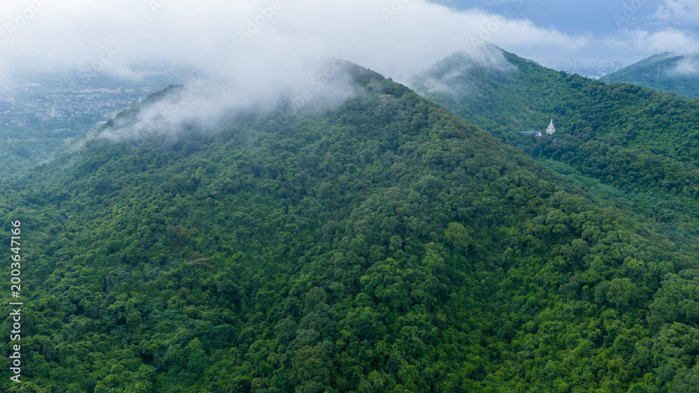 Obraz premium lush green tropical rainforest and mountain peaks covered in beautiful low hanging fog and clouds. Natural landscape, environmental conservation, and wilderness background.