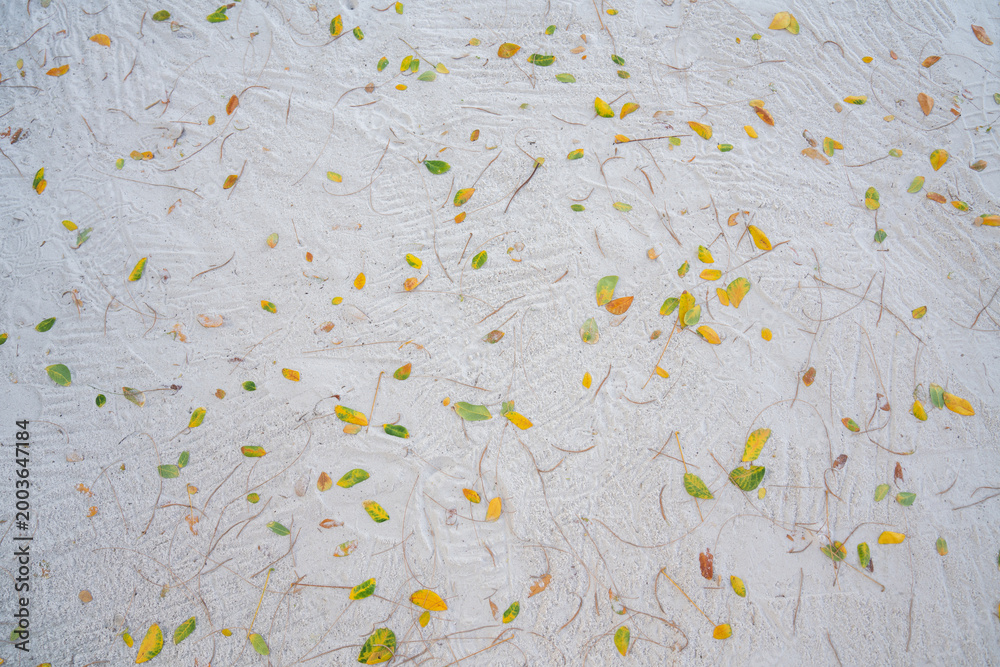 Obraz premium flat lay view of a white sand beach surface background with scattered small green and yellow leaves. Minimalist natural texture, tropical vacation, and zen garden relaxation concept.