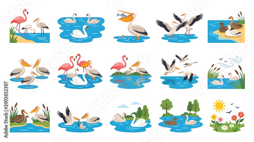 A vibrant collection of diverse bird species gracefully depicted in various natural aquatic and terrestrial habitats, showcasing their unique behaviors and interactions.