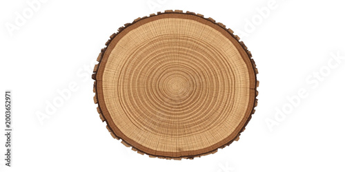 Wood Slice's Timeline: The intricate patterns of a freshly cut wood slice reveal a captivating journey through time.