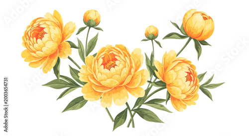 Yellow Peony Flowers with Green Leaves.