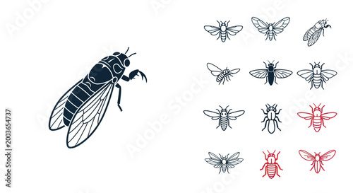 Insect illustration with various fly drawings.