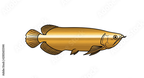 Golden Arowana Fish Illustration - Exotic Freshwater Aquarium Pet