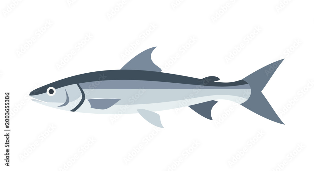 Fototapeta premium Sleek Silver Fish Illustration - Aquatic Life