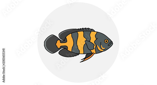 Oscar Fish Illustration - Tropical Aquarium Pet, Orange Striped