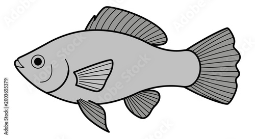 Simple illustration of a gray fish with fins and tail, isolated on white background.