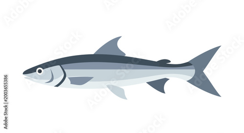 Sleek Silver Fish Illustration - Aquatic Life