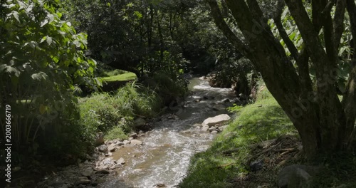 Stream Flowing Through Greenery in Poblado Medellin