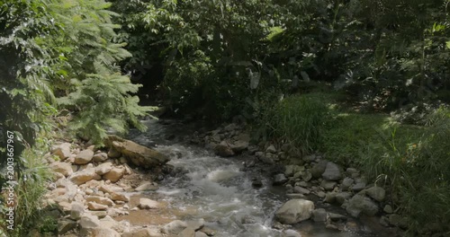 Stream Surrounded by Lush Greenery in Medellin, Colombia