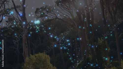 Sparse lights appearing, drifting up-right across treeline as camera tilting, showing depth