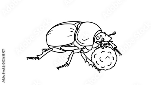Black beetle carrying a round ball on a plain background Vector