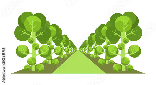 Brussels Sprouts Field Rows Perspective Illusion