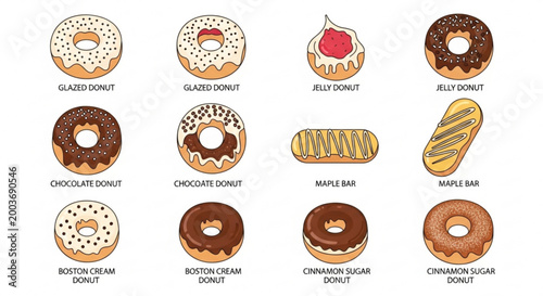 Variety of donuts and pastries on white background with labels
