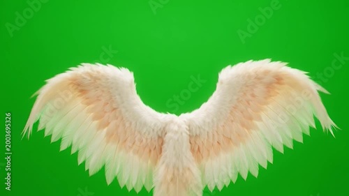 A pair of fluffy, white and peach-colored wings are displayed against a vibrant, solid green background, creating a visually appealing image
