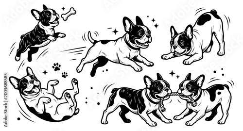 French Bulldog Illustration Set, Cute Puppy Character in Different Poses, Playful Frenchie Vector Art.