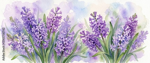 Watercolor floral banner with purple hyacinth flowers. Spring botanical illustration on lilac background with copy space