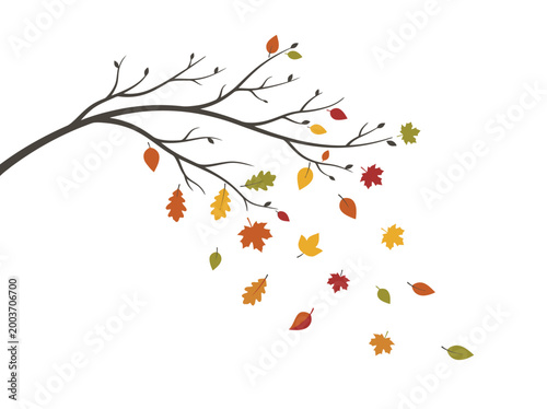 Stylized autumn tree branch with colorful falling leaves.