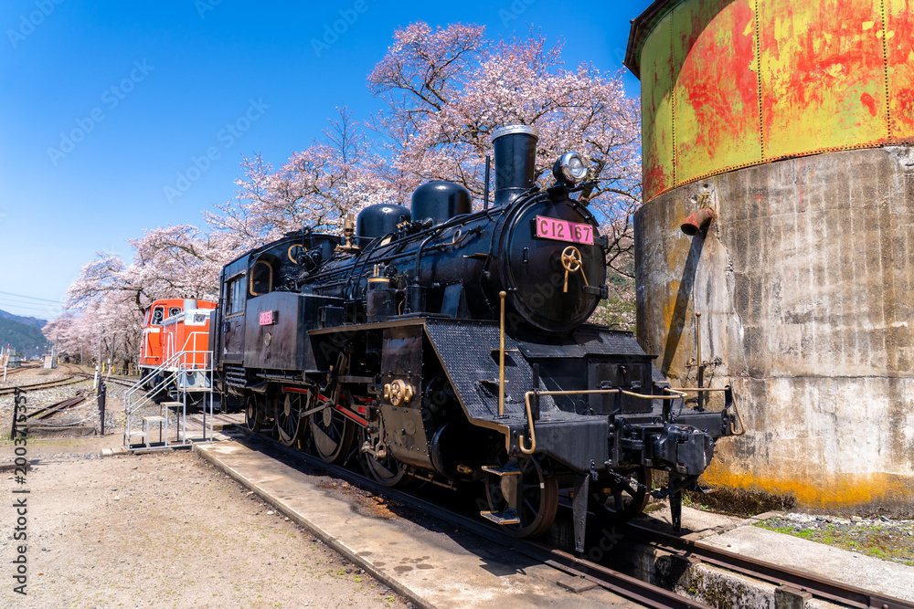 Naklejka premium Cherry blossoms and a steam locomotive: Wakasa Railway, Tottori Prefecture