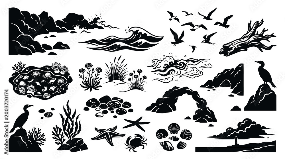 Fototapeta premium Black White Sea Life and Coastal Elements Vector Art