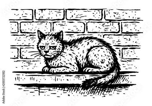 Stray Cat hand drawn simple sketch vector illustration