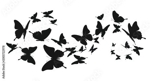 Black Butterfly Swarm Silhouette, Flying Insects, Isolated on White Background