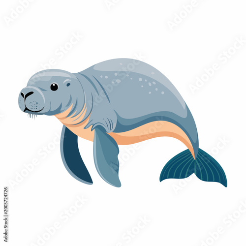 Manatee swimming in the ocean water.