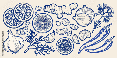 Culinary ingredients illustration in blue tones with citrus garlic and herbs
