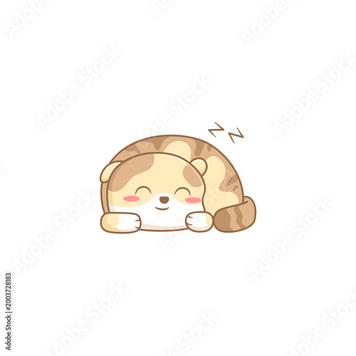Cute Sleeping Cat Illustration