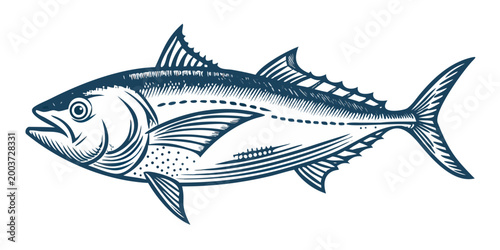 Photography Tuna fish illustration detailed side view on black background