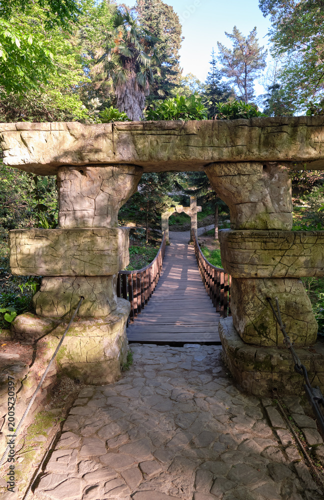 Obraz premium Suspension bridge with bamboo railings. Sochi Arboretum.
