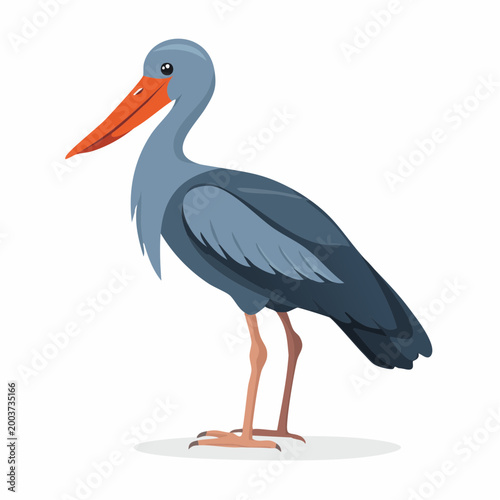 Fotografie Large Bird with Orange Beak Standing.
