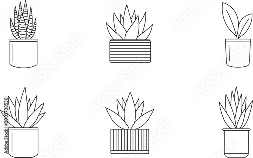 Minimalist Potted Plant Illustration Set Featuring Succulents and Greenery for Home Decor, Gardening, and Nature Designs