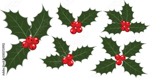 Set of Holly Leaves and Red Berries for Christmas, Winter, and Holiday Decoration Concepts in Vector Style