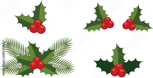 Set of Holly and Berries for Christmas, Winter, and Holiday Decoration Concepts in Vector Style