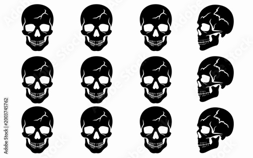 Valokuva A collection of 12 distinct black skull silhouettes with cracks facing different